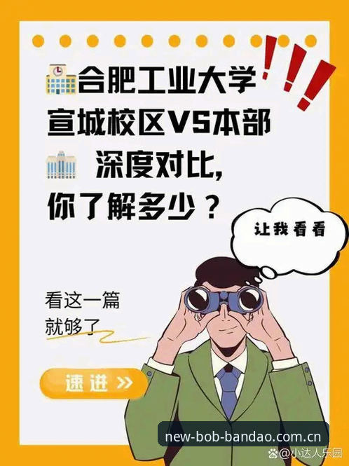 半岛体育平台VS原名BOB：更换品牌后，老用户该选谁？——深度对比与选择指南